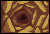 Cave