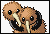 Doduo