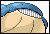 Wailmer